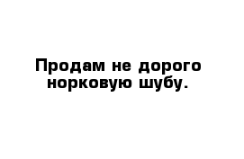 Продам не дорого норковую шубу.